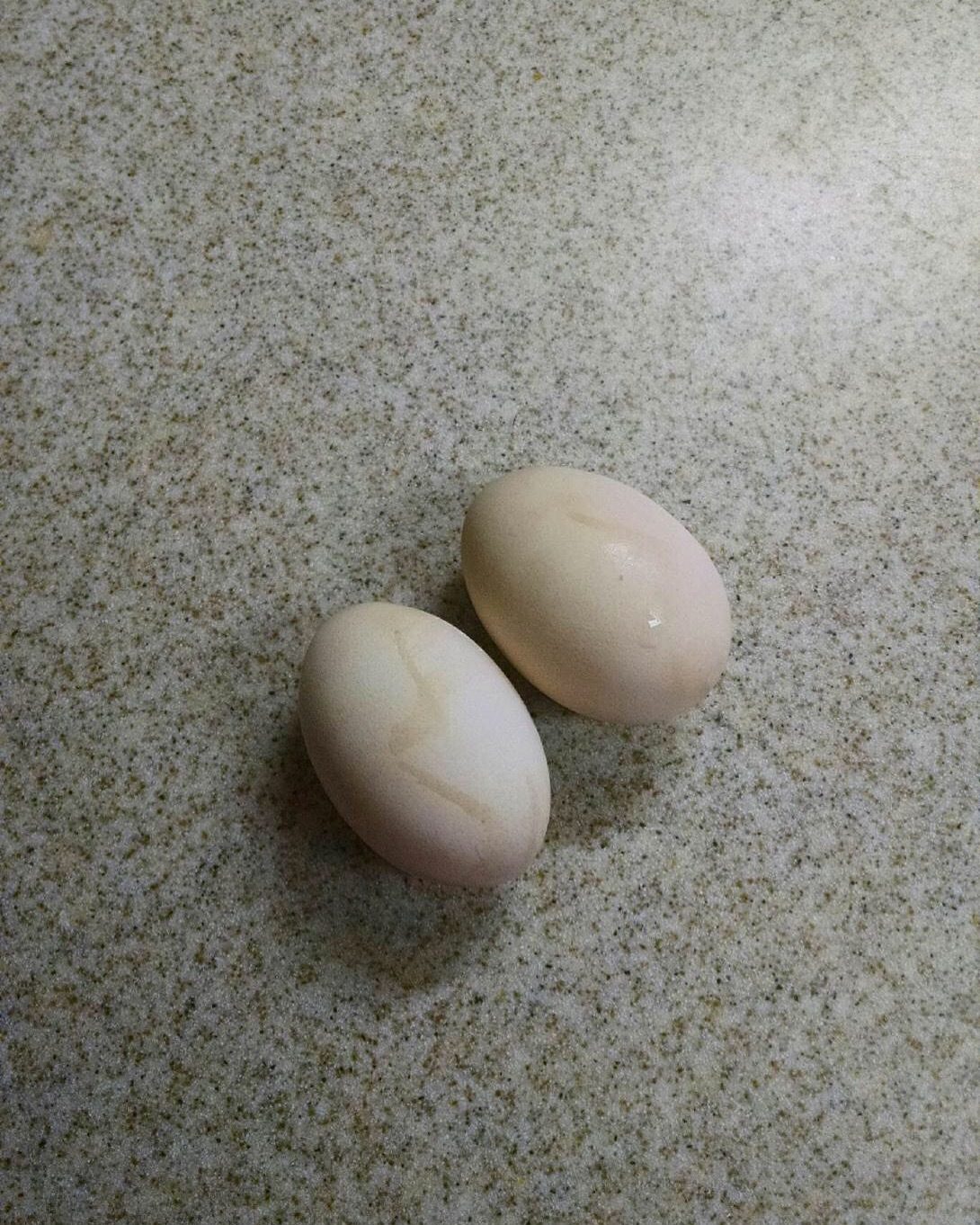 Our first Bantam eggs. She started laying Easter Day. I thought that was neat!