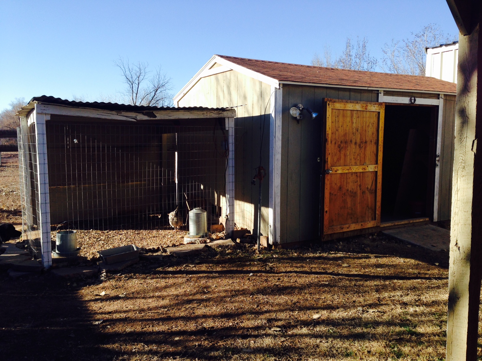 Outside shot (before).  There used to be a doghouse under here. Wrapped with welded wire and lined with rocks.