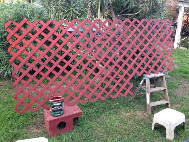 Painting a trellis which became part of the chicken yard enclosure. Never underestimate the time it takes to paint a trellis...!