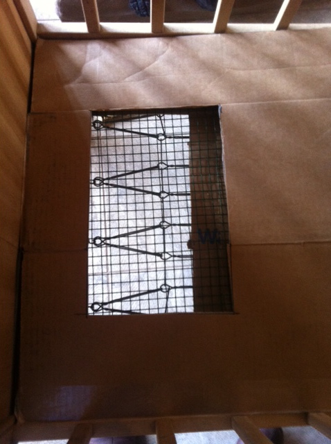 Plastic covered mesh wire taped between cardboard sheets