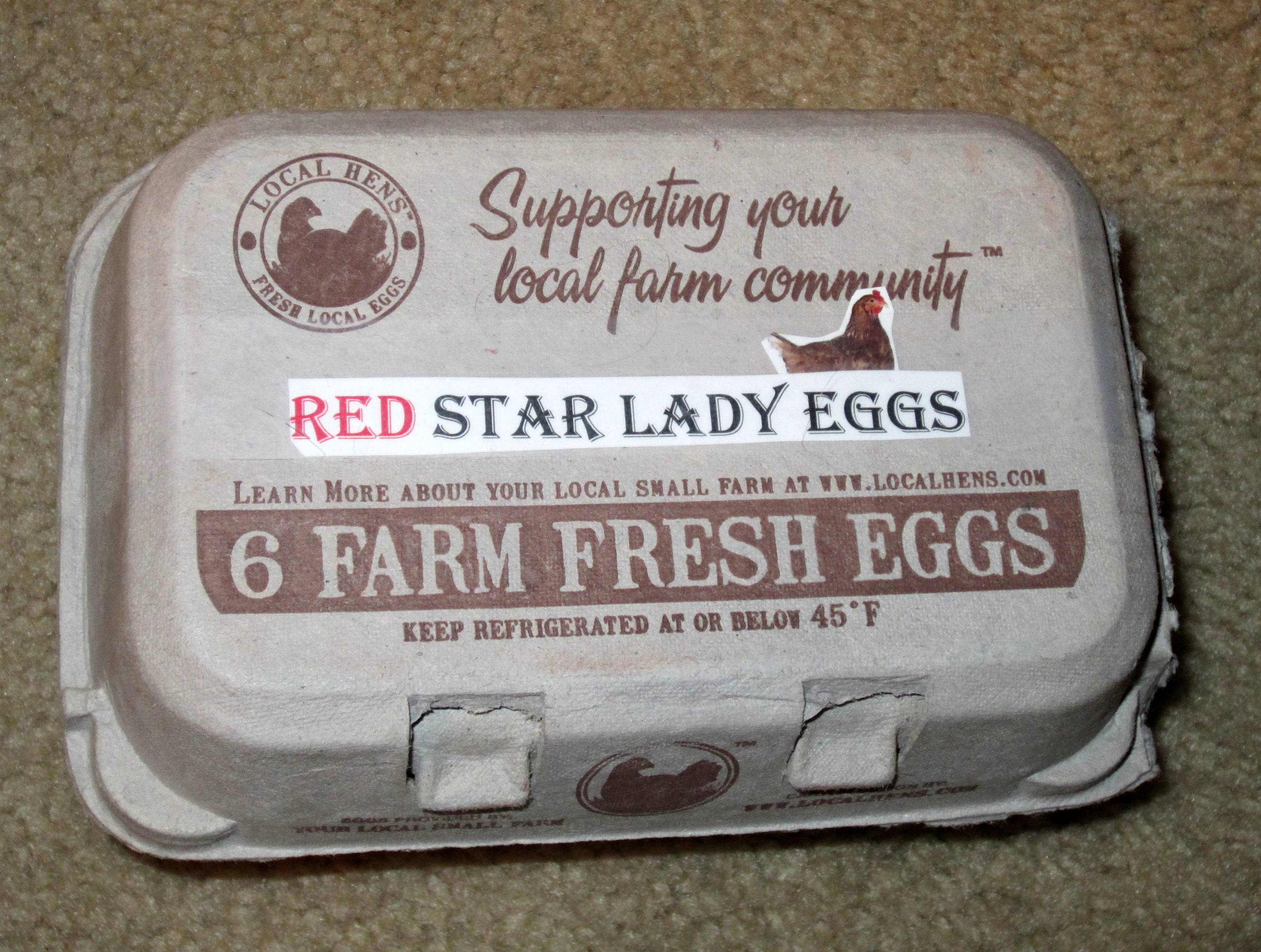 Protype of my egg carton (to give away my eggs to friends and co-workers).