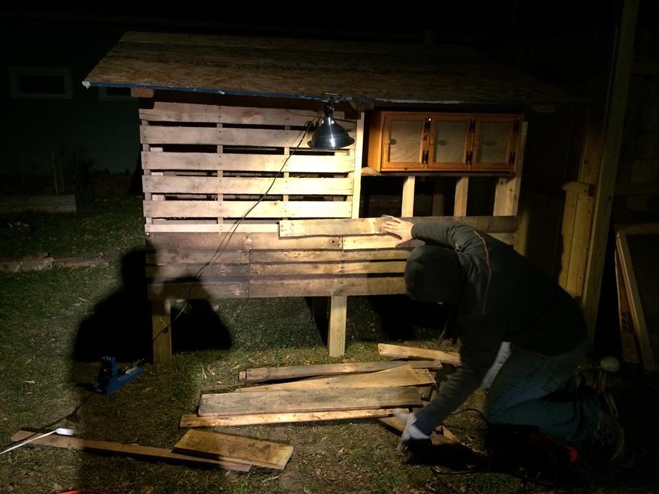 Putting up the first side of pallet siding. We used a reciprocating saw with a demolition blade to cut though the pallet nails. Worked great, except for when our battery operated saw died every 2 pallets! 
Nov 8 2014