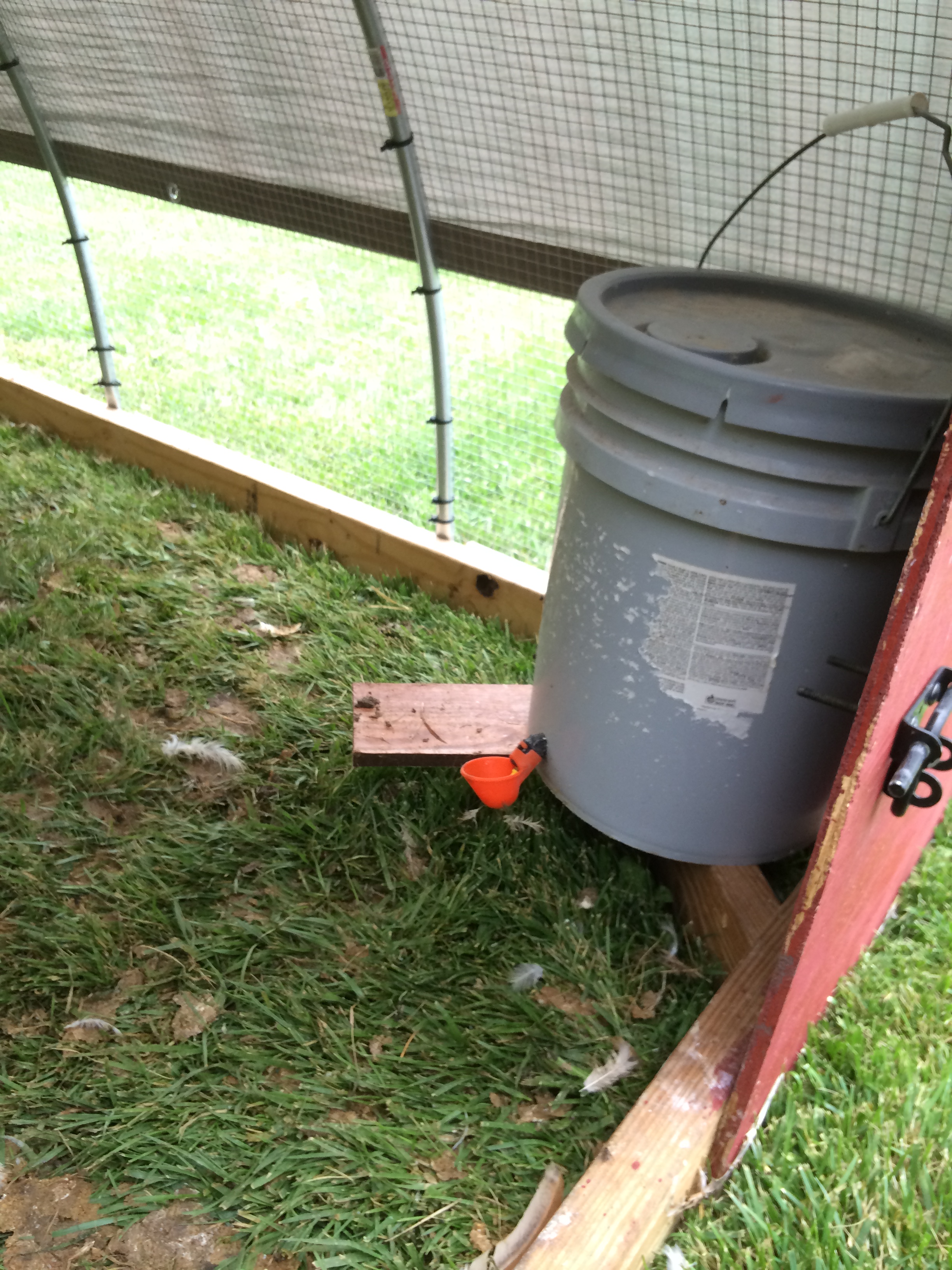 The corner braces support 5 gallon water buckets with drinker cups.  The broilers had no issue figuring them out and the pair of buckets lasted about 2 day as long as it wasnt too hot.
