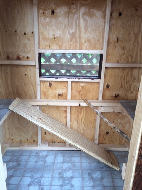 The lattice work you see in the window is actually about 2' away from the window.  The coop is enclosed by the run so the hens can go completely around it. We put lattice up to keep nosy neighbors from watching our girls!