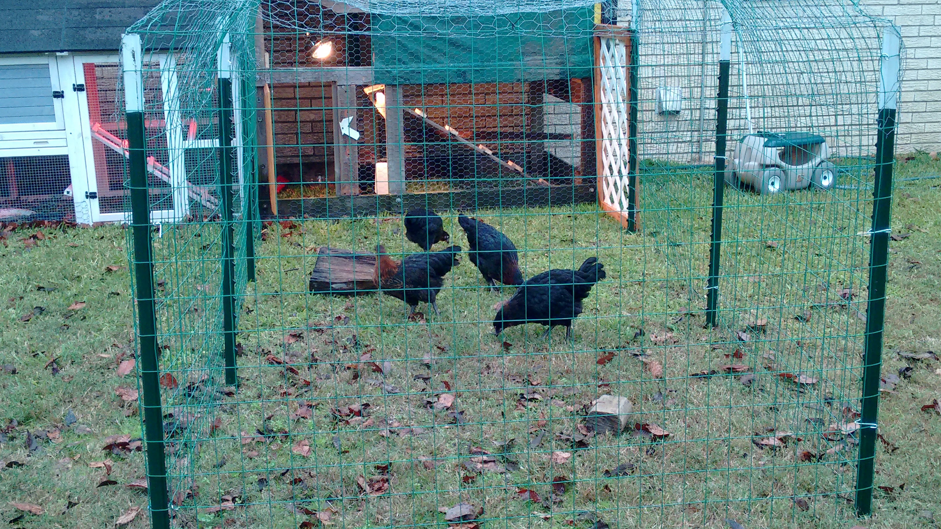 This is the two coops on the ground.