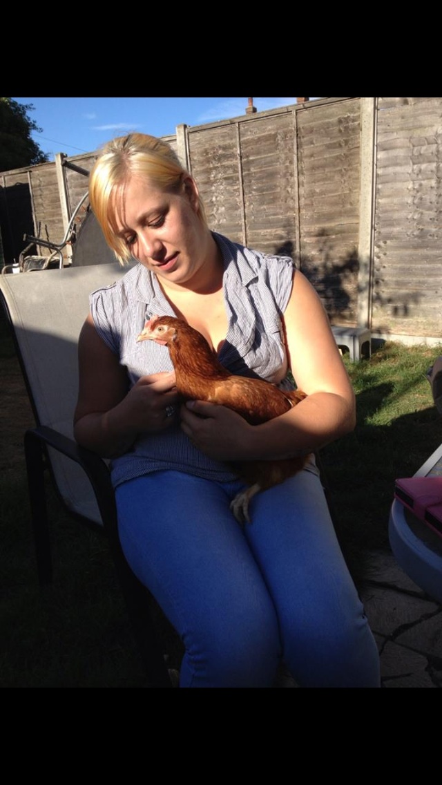 This is yang on my lap she is the noseiest  hen of them all she follows me and my mum everywhere :)
