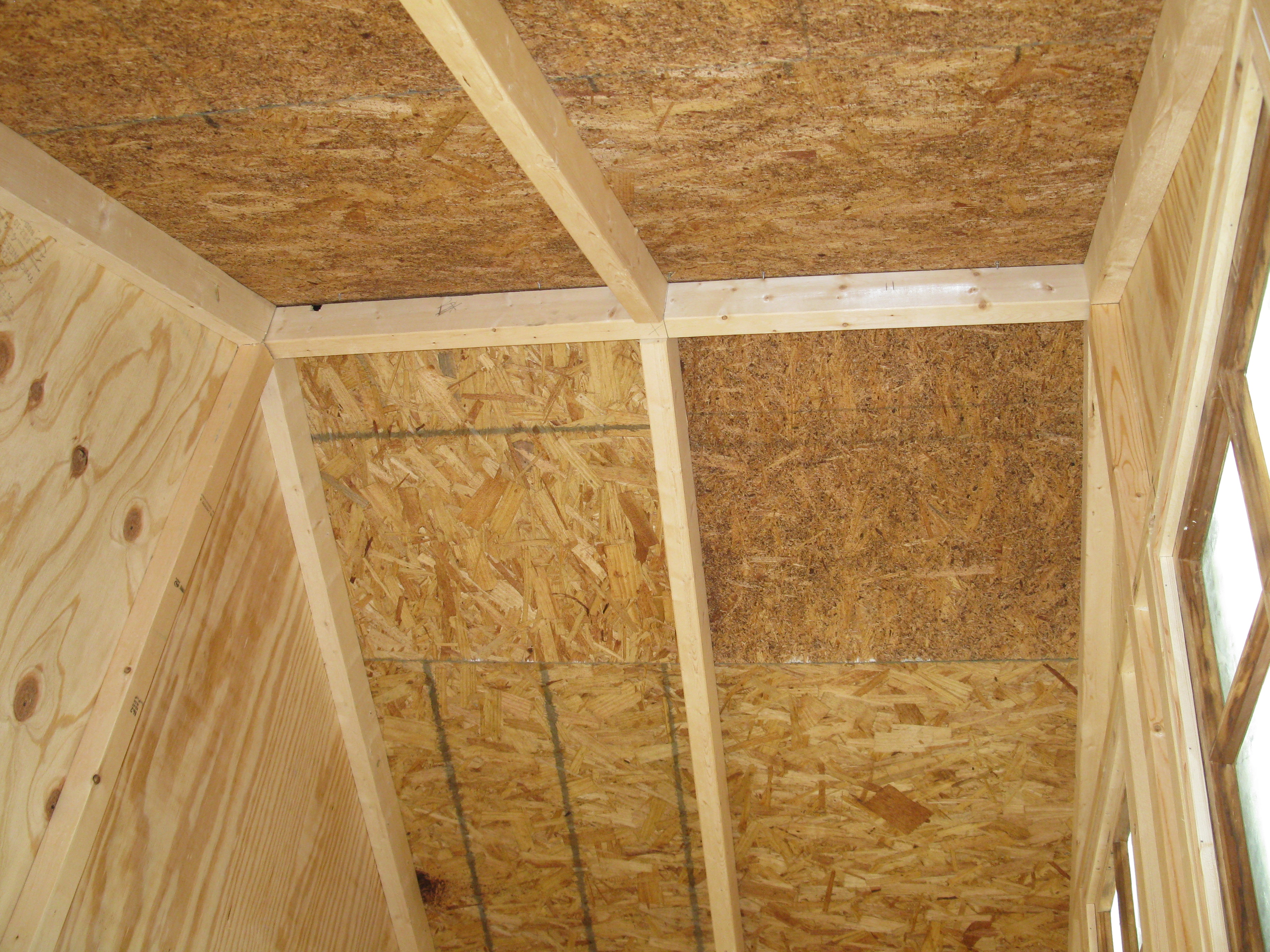 Used 2x3s for rafters(ripped 2x6s in half).