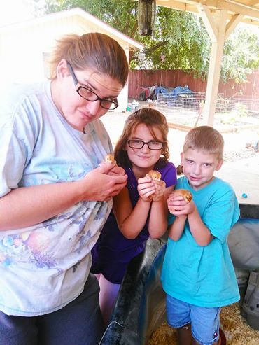 Wife and kids holding baby chicks purchased chicks 9/7/15 at local pet store Whities