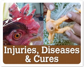 Injuries, Diseases, & Cures