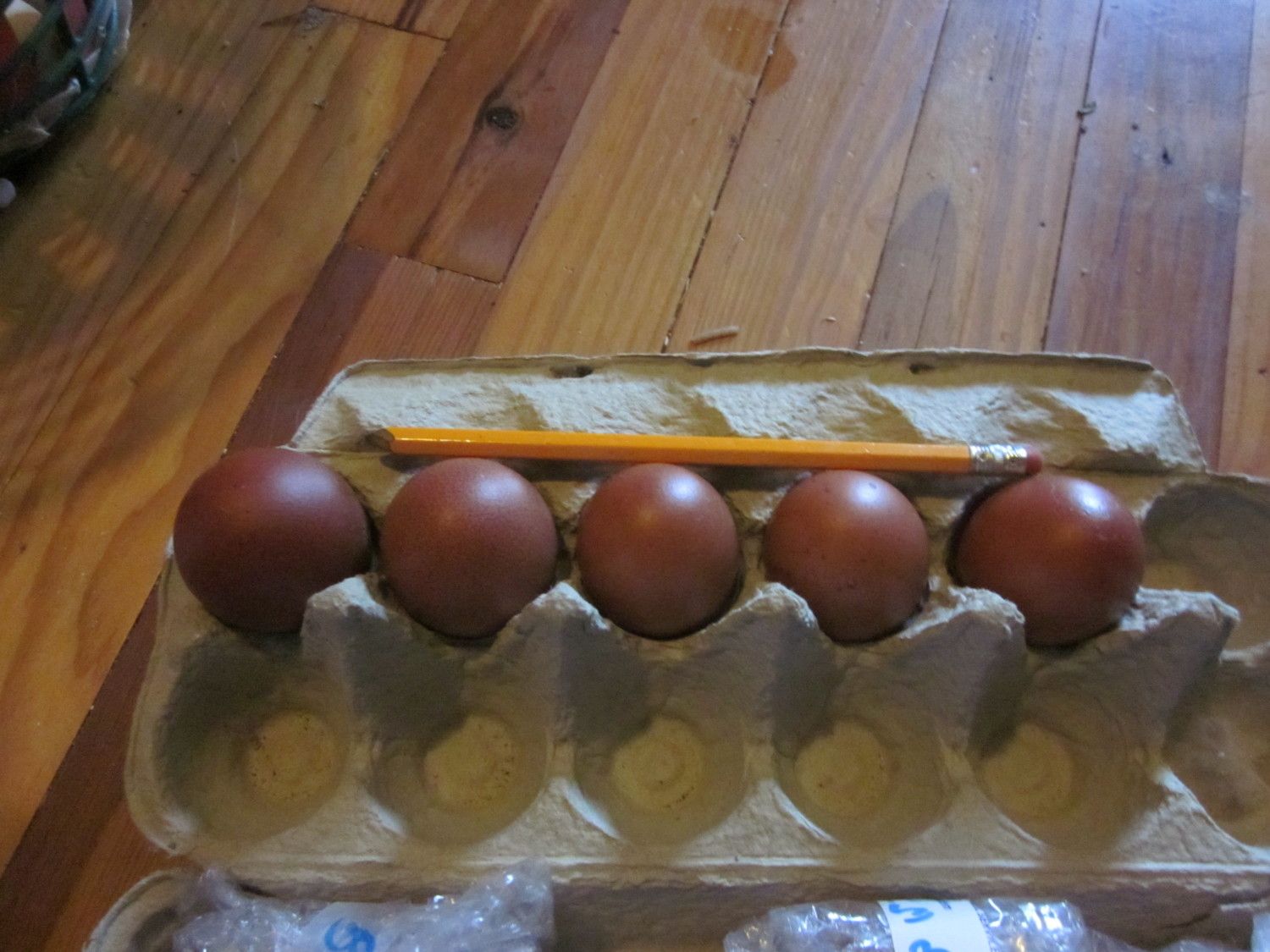 Buy it now: 10+ Wheaten Marans Hatching Eggs great bloodlines Ship wk ...