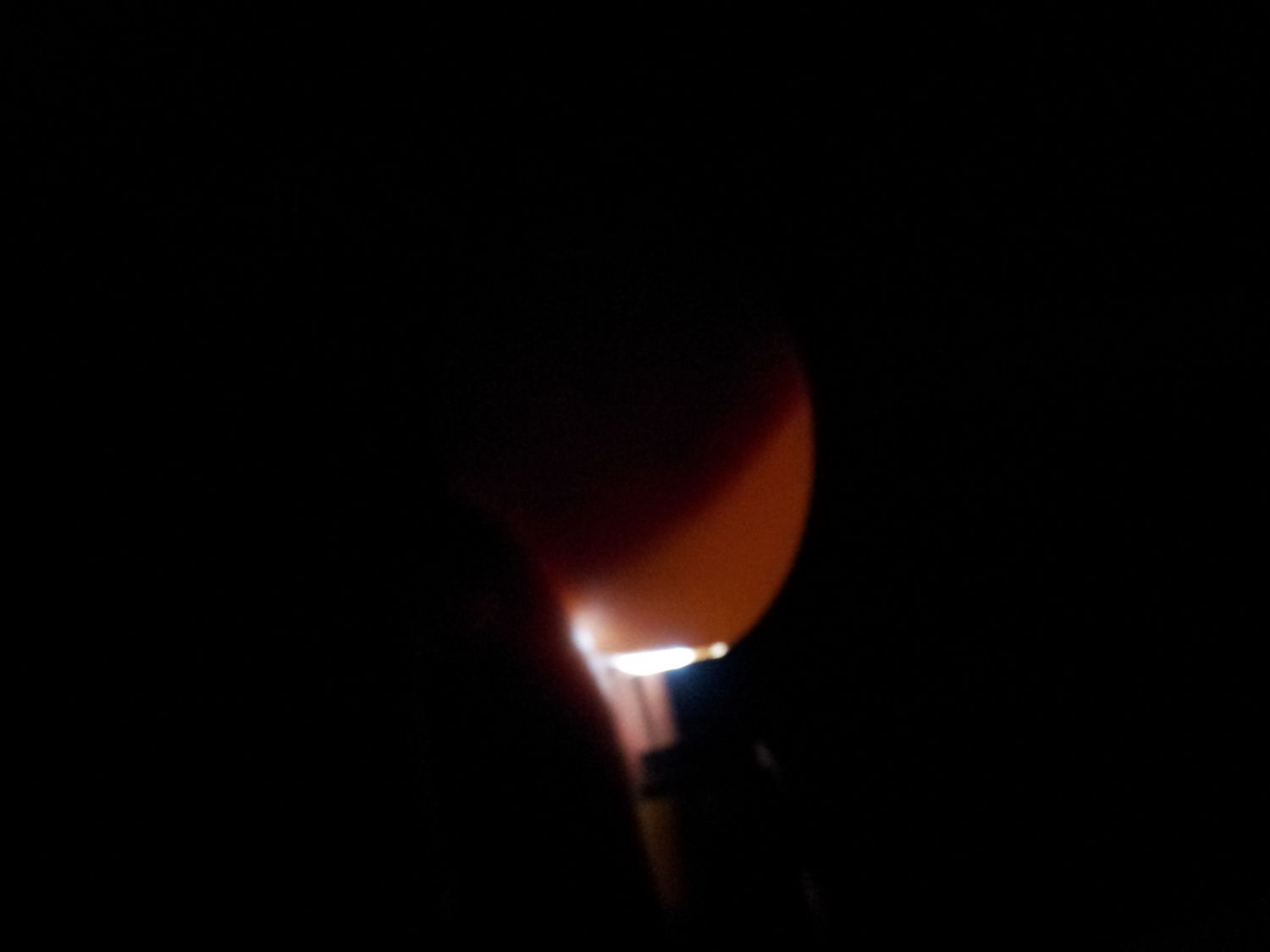 Candling eggs Day 21