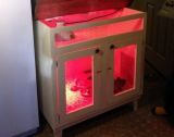 Homemade Chicken Brooder Designs & Pictures