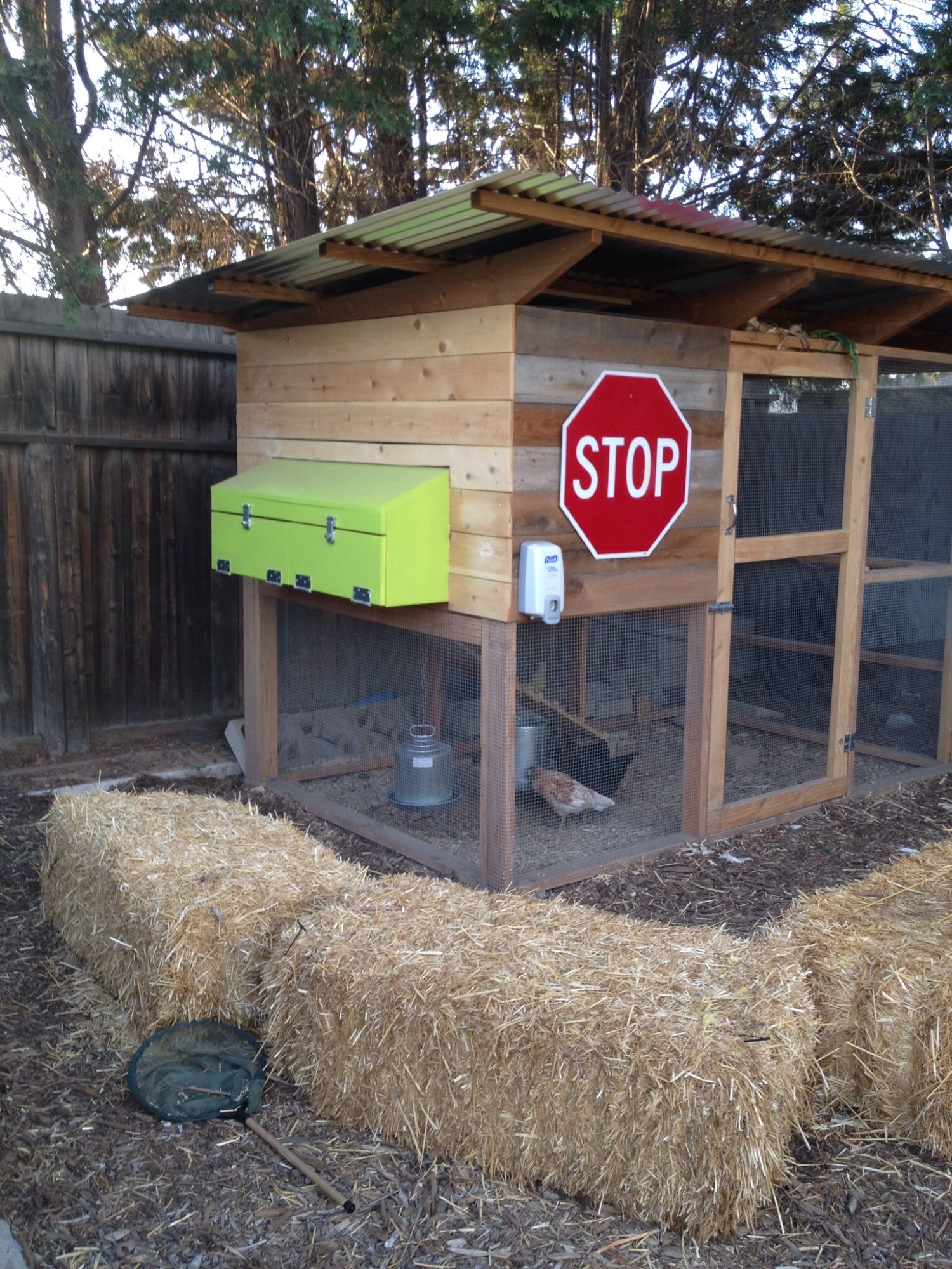 Garden Coop Costa Mesa Backyard Chickens Community