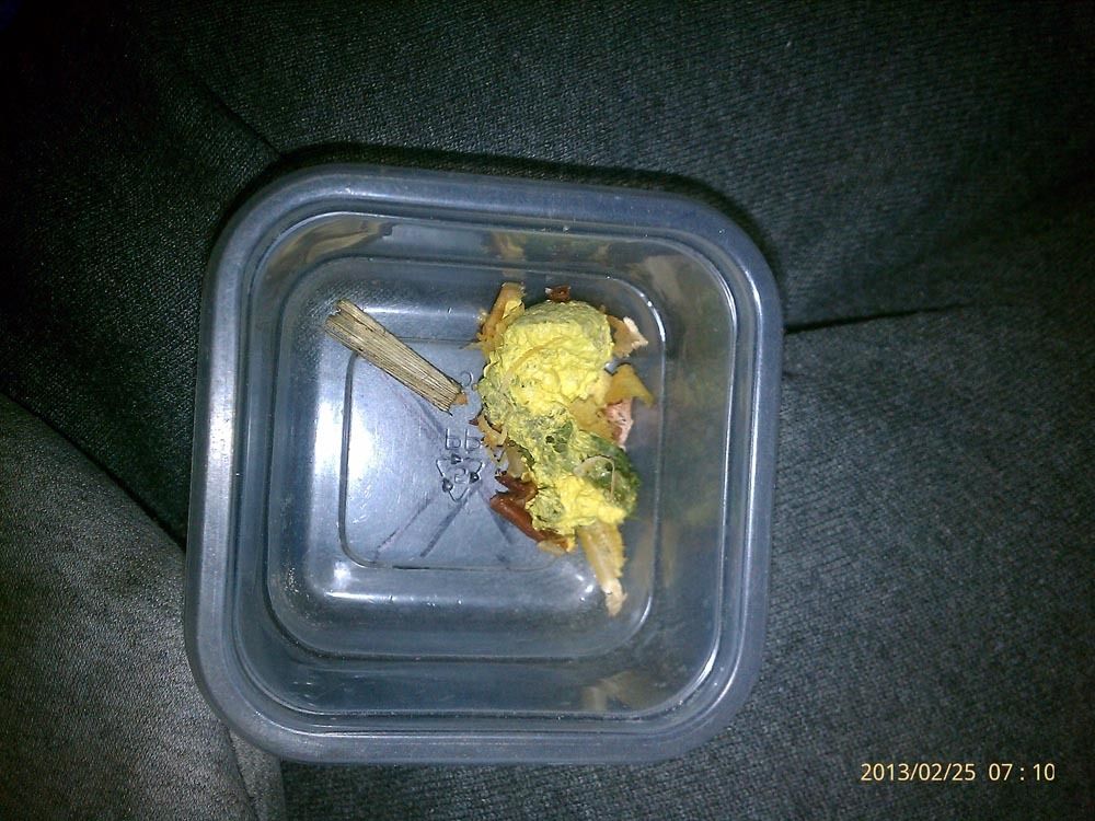 Lethargy, yellow diarrhea, progressing to death