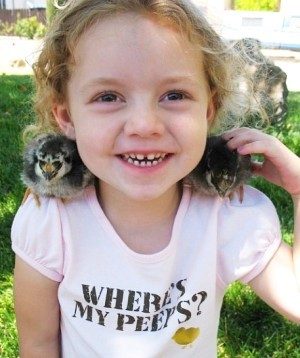 How To Raise Backyard Chickens In Your City - The Basics Of Raising Chickens