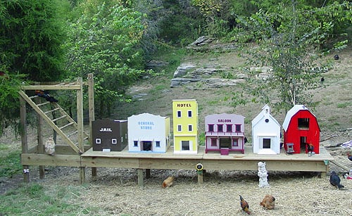Chicken Co-op Village