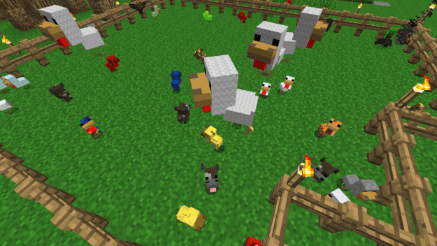 Chickens-625x352.png