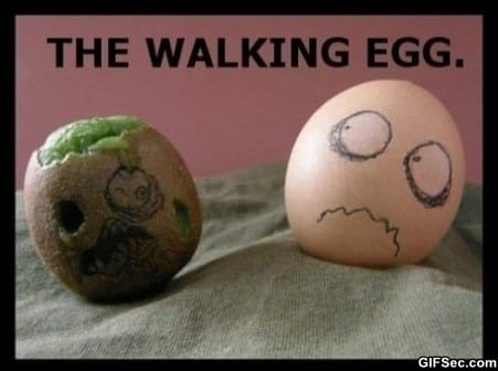 The-Walking-Egg.jpg