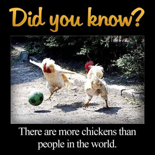 crazy-interesting-facts-14