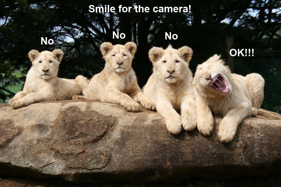 smile-for-the-camera.jpg