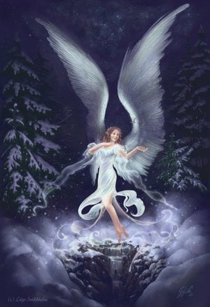 Winter-Fairy-fairies-334516_300_438.jpg