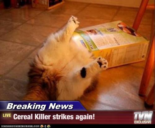 breaking-news-animals-cereal-killer-strikes-again-funny-pinoy-jokes-photos-2012.jpg