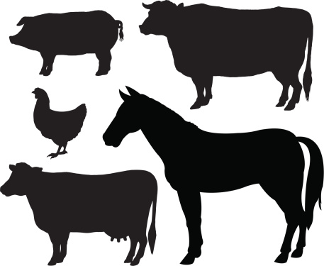 farm-animal-silhouettes-cow-horse-pig-chicken-vector-id165900181