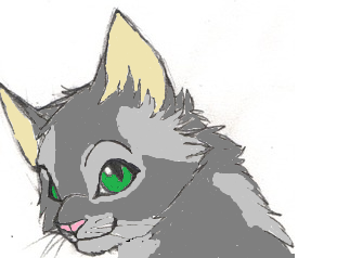 fernwhisker_by_featherhearts17-db4d74b.png