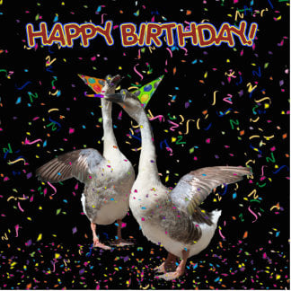 happy_birthday_geese_photo_statuette-r1c7071fb33e54692a10c4c694eab2ac7_x7saw_8byvr_324.jpg