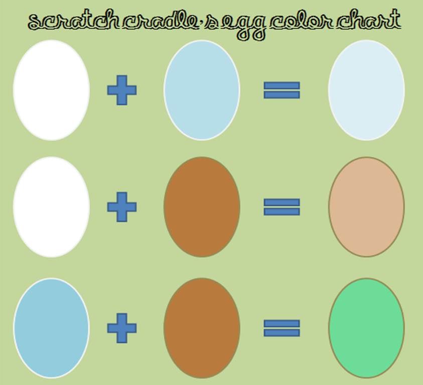 egg-color-chart.jpg