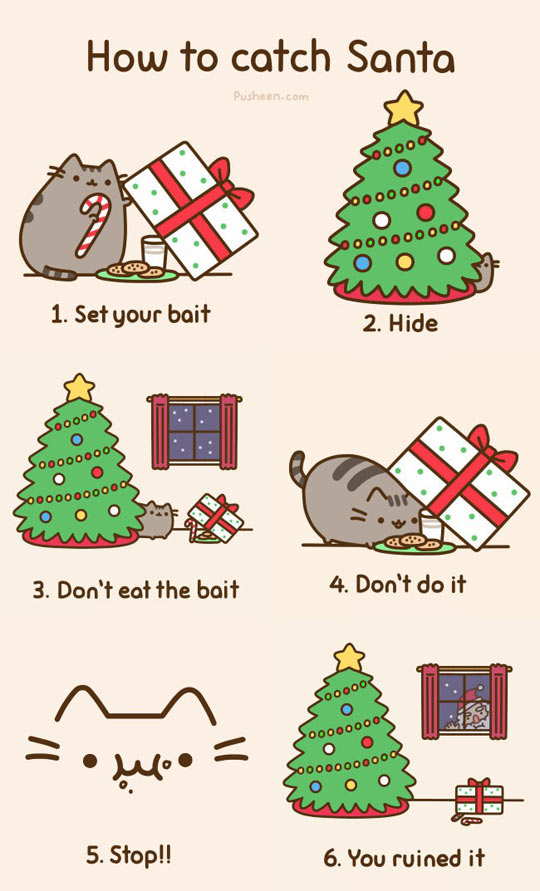 funny-cat-tramp-tree-Christmas-Santa1.jpg