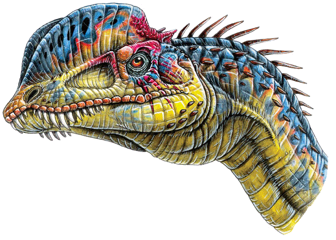 dilophosaurus_wertherelli.gif
