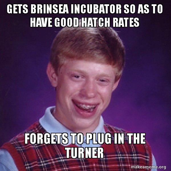 gets-brinsea-incubator.jpg
