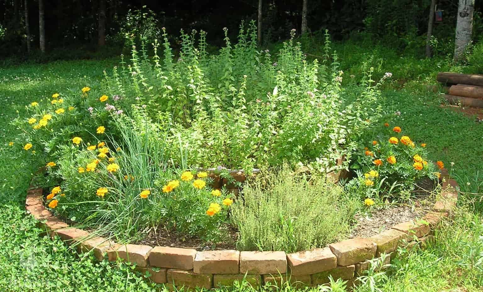 Raised Bed from Reclaimed Brick to Grow Herbs • New Life On A Homestead