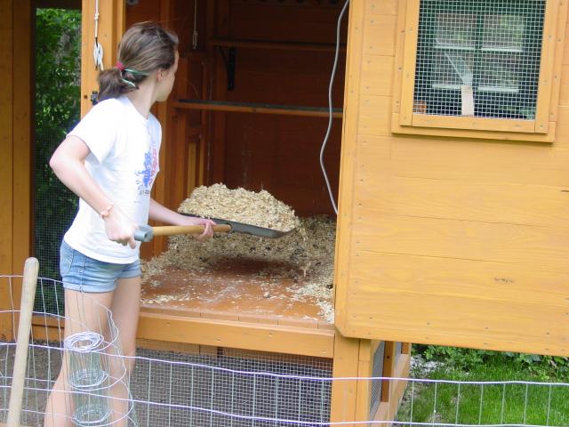 66725_chicken_coop_cleaning_05-30-11_012.jpg