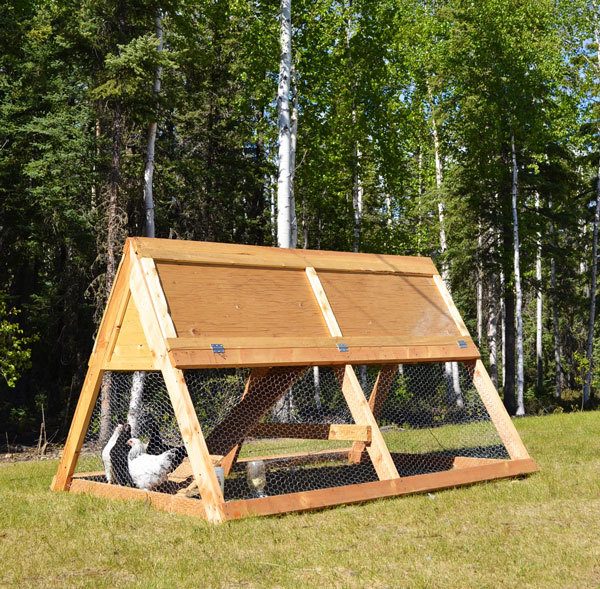 $100 Diy Portable Coop | BackYard Chickens - Learn How to ...