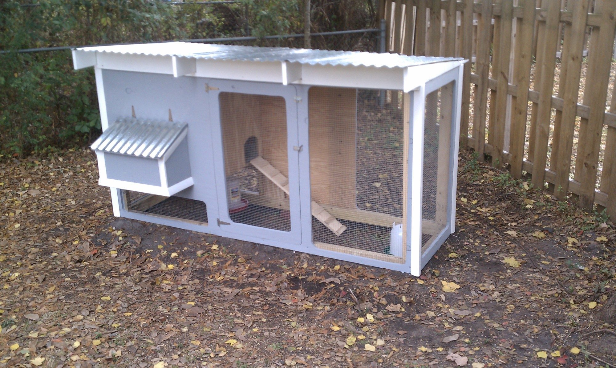 4x8 Custom Coop BackYard Chickens Learn How to Raise Chickens