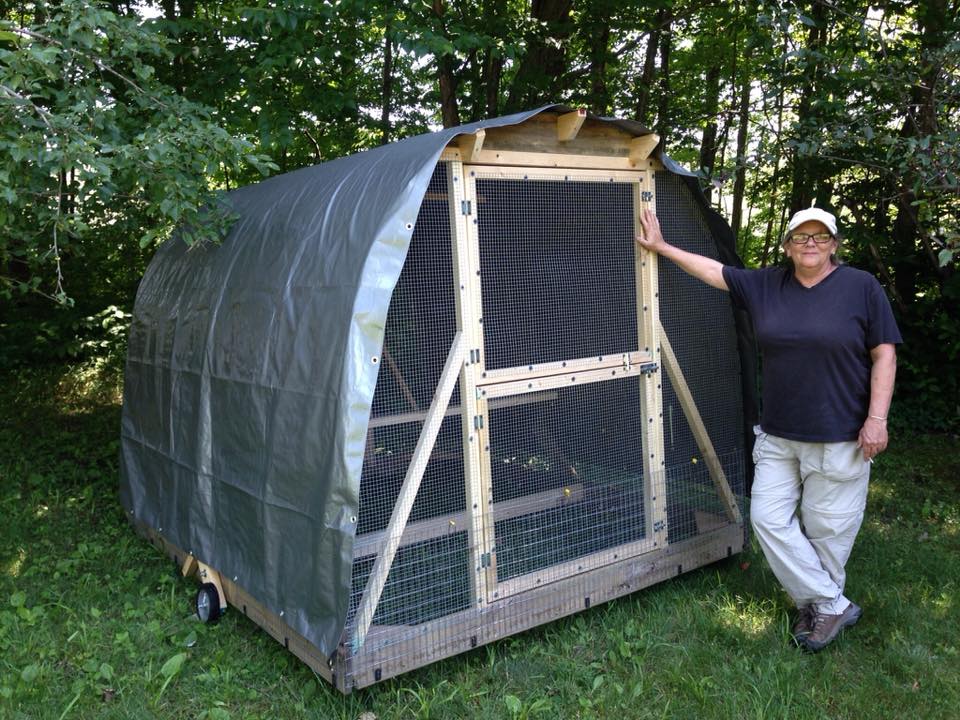aart-s-hoop-coop-chicken-tractor-backyard-chickens-learn-how-to-raise-chickens