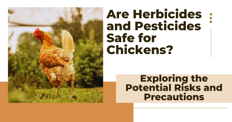 Are Herbicides and Pesticides Safe for Chickens.png