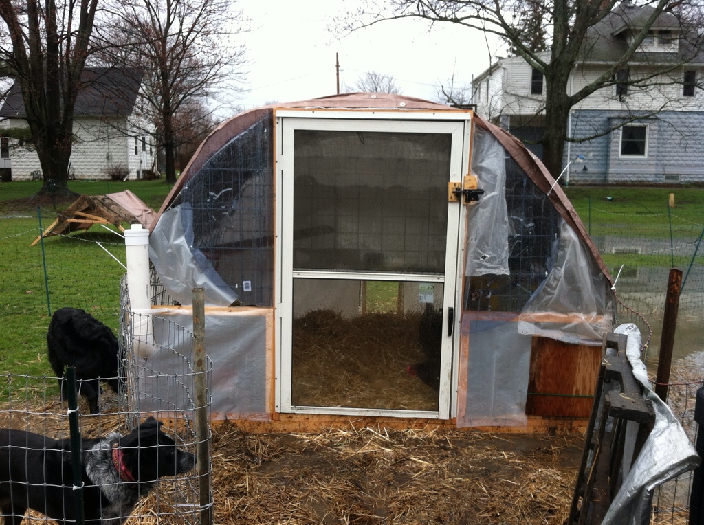 Armorfirelady's Fire Chickens Hoop Coop BackYard Chickens Learn How