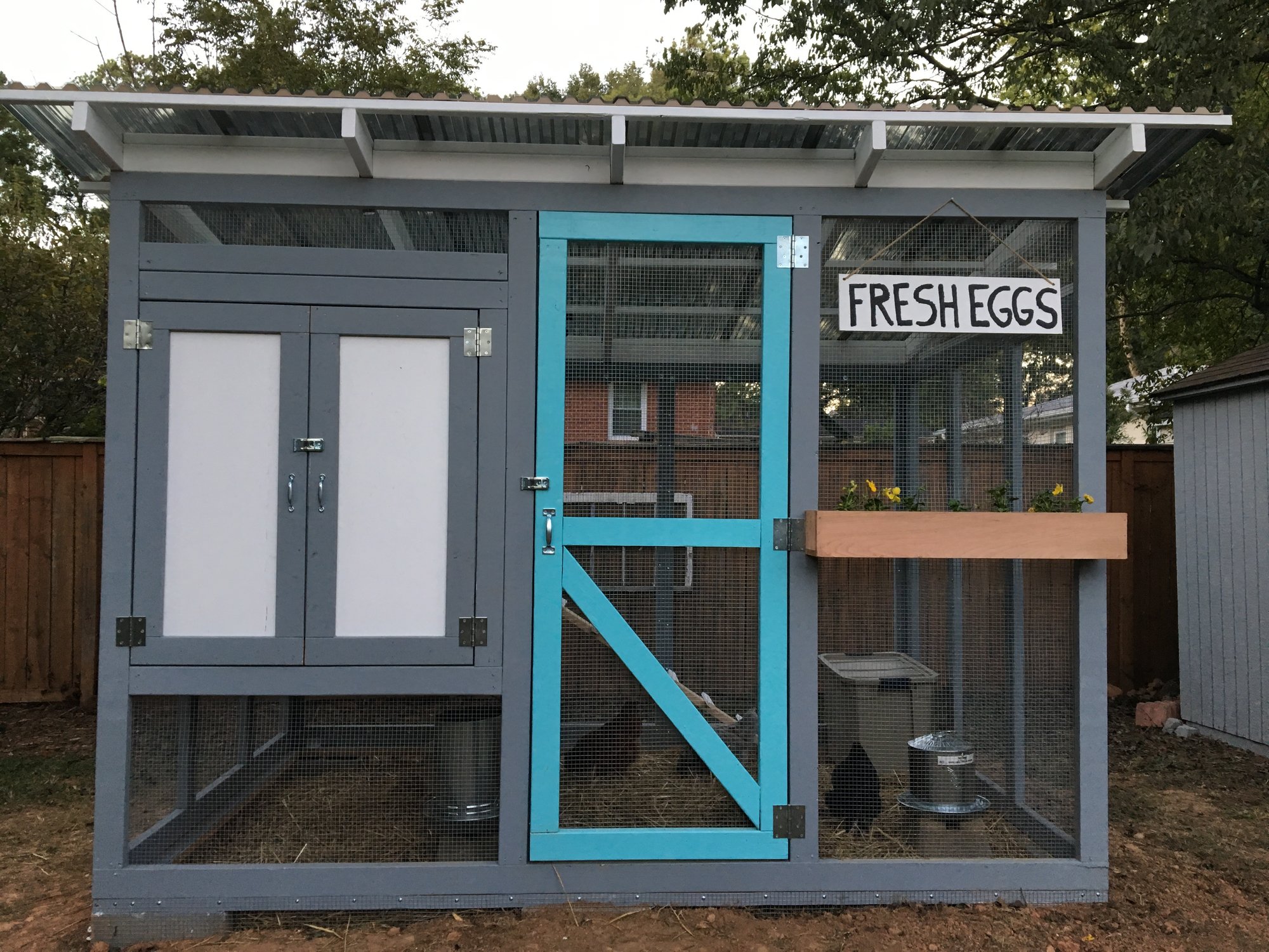 Atlanta Georgia Urban Chicken Coop Backyard Chickens Learn