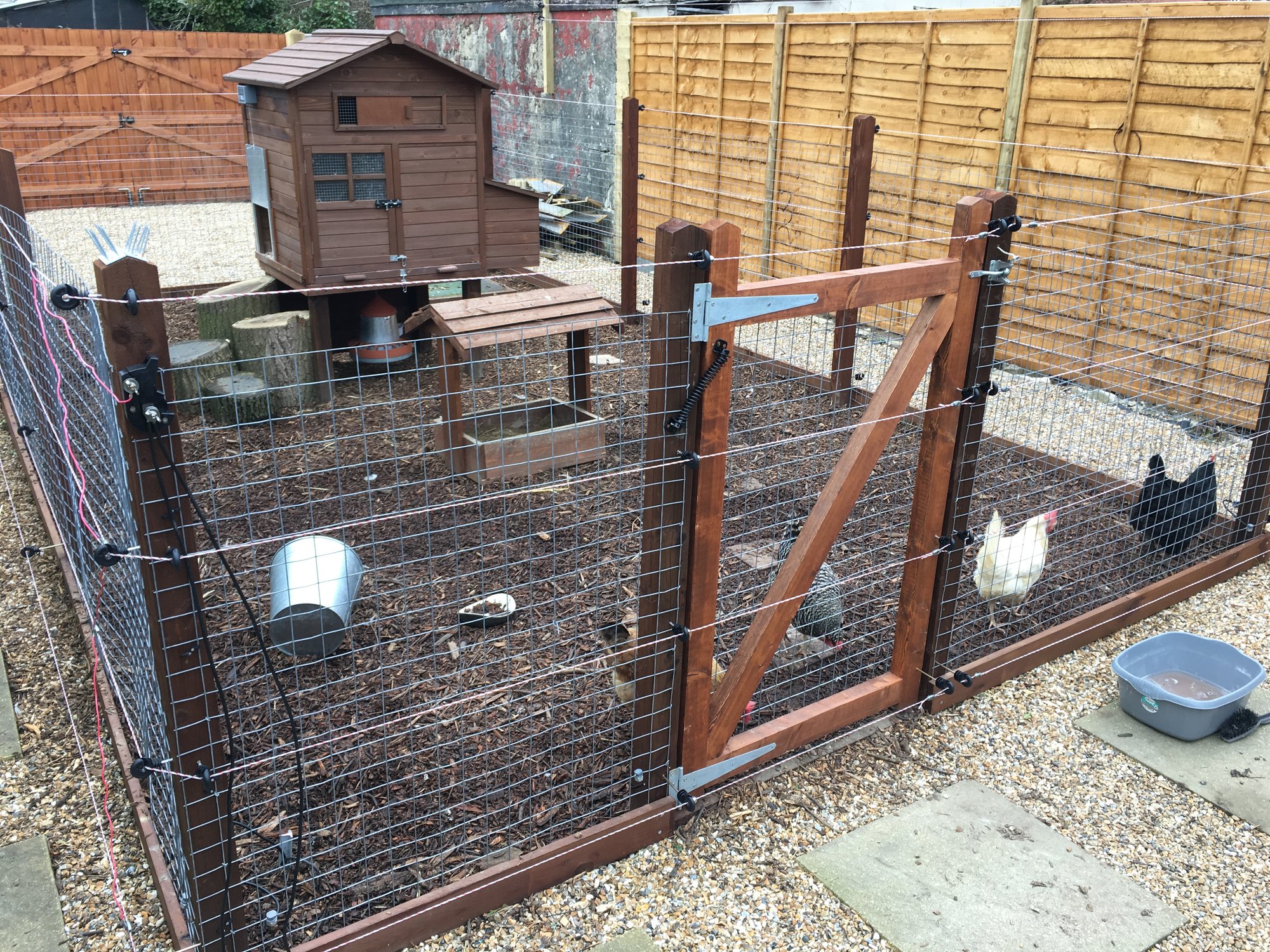 Back yard coop and run with electric fence BackYard Chickens Learn How to Raise Chickens