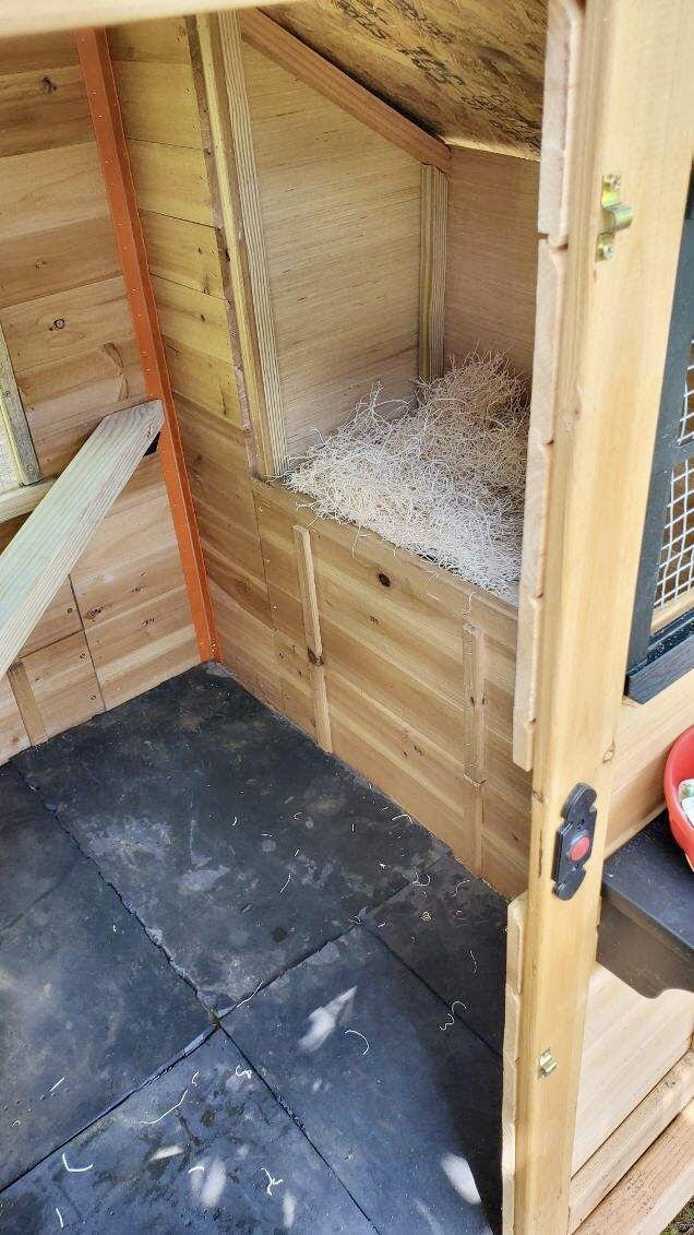 Bantam Coop BackYard Chickens Learn How to Raise Chickens