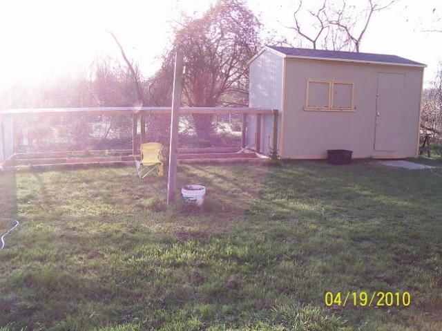 40674_coop1byc.jpg