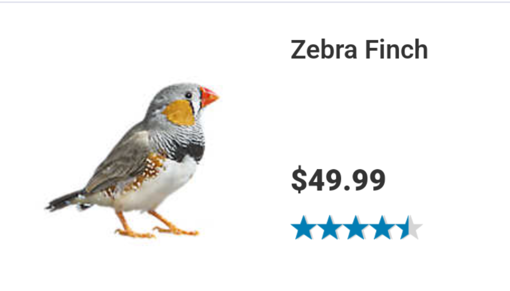 Petsmart finches outlet