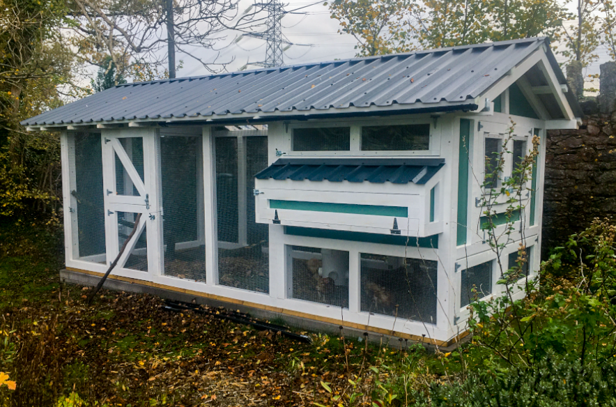 Carolina Coops knock off in Wales BackYard Chickens Learn How to