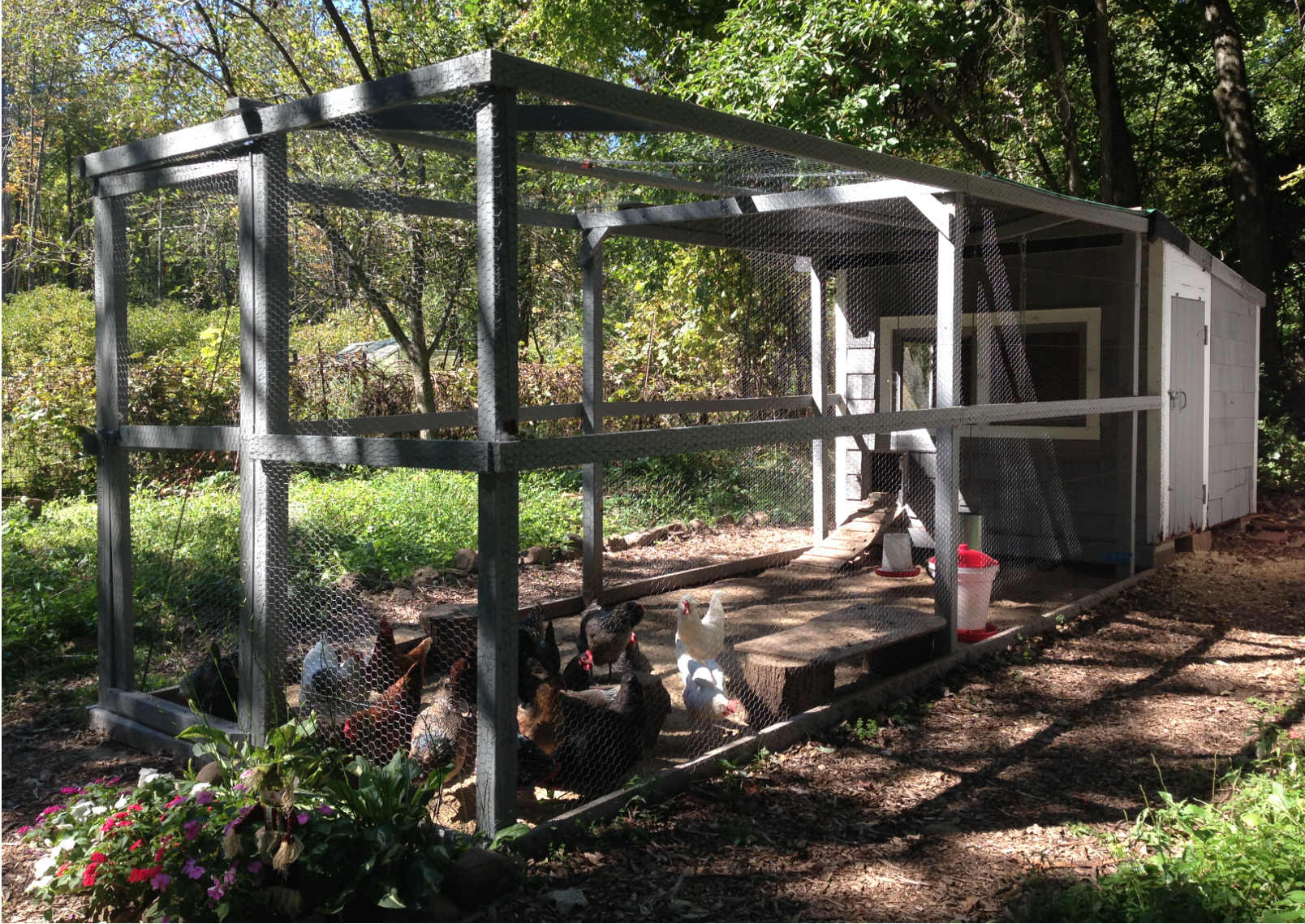 Cedar Acres Coop!  BackYard Chickens - Learn How to Raise Chickens