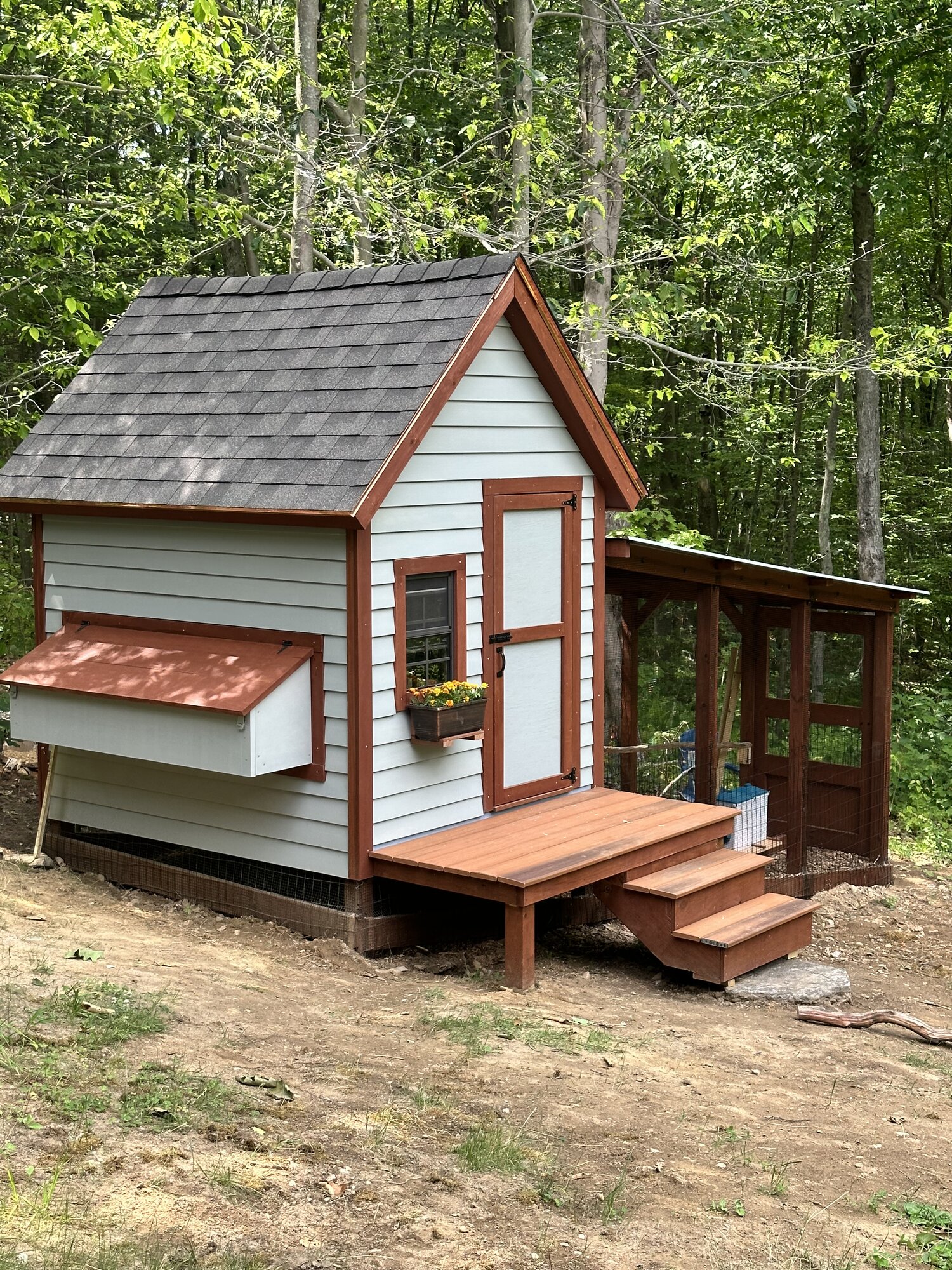 Cedar Shake Coop BackYard Chickens Learn How to Raise Chickens
