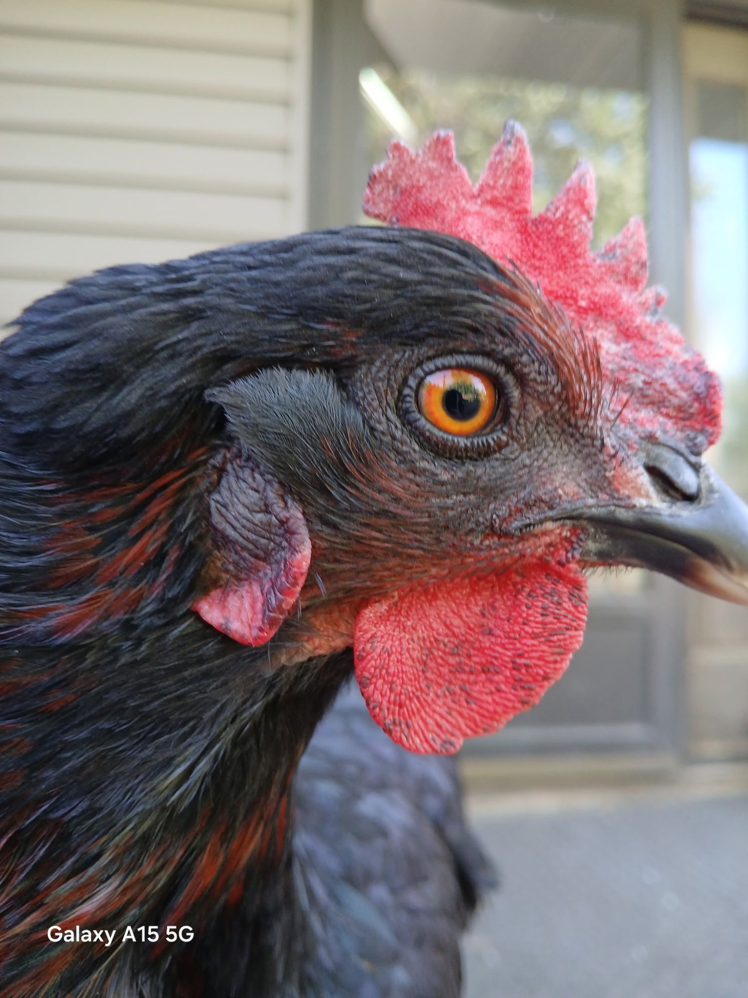 IMG_20260120_134019 (2).jpg