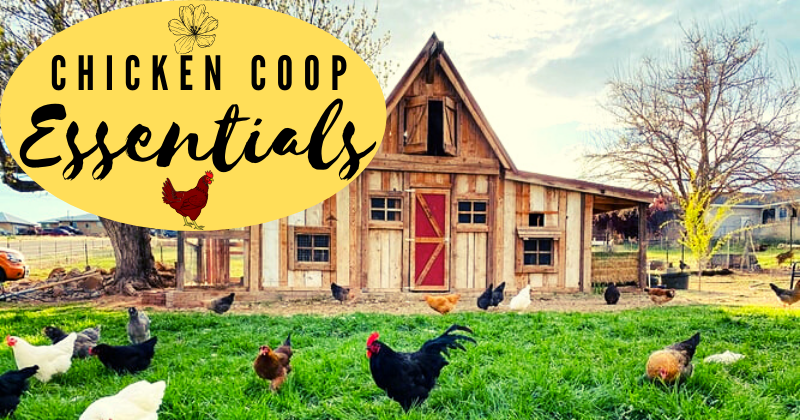 chicken coop.png